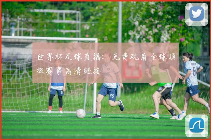 世界杯足球直播：免费观看全球顶级赛事高清链接